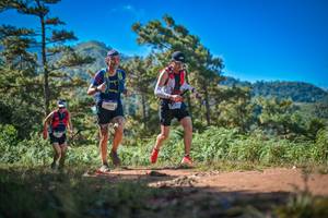 BIB: 9044
                            <button type="button" onclick="openModal(19253529)" class="btn btn-primary btn-sm float-right btn-popup" data-toggle="modal" data-target=".modal-high-quality">
                        <i class="fas fa-shopping-cart"></i> Add to Cart
                    </button>
                                            <button type="button" onclick="isThisMe(19253529, true)" class="btn btn-success btn-sm float-right btn-popup btn-isme hidden" data-toggle="tooltip" data-placement="bottom" title="นี่คือรูปของคุณใช่ไหม คลิกที่นี่เพื่อเอาเข้าอัลบั้ม">
                        <i class="fas fa-plus"></i> Add to album
                    </button>
                    <button type="button" onclick="isThisMe(19253529, false)" class="btn btn-warning btn-sm float-right btn-popup btn-isnotme hidden">
                        <i class="fas fa-ban"></i> Remove from album
                    </button>